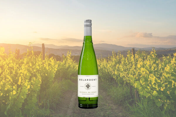 Belardent Picpoul de Pinet