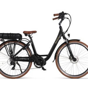 Elektrische stadsfiets Bea - zwart - W44