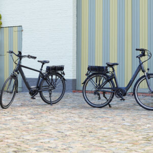 Elektrische stadsfiets Veloci - Spirit