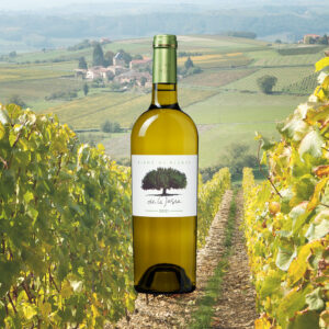 La Jasse Blanc de Blancs