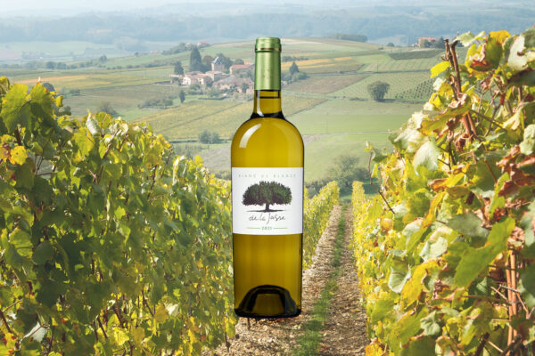 La Jasse Blanc de Blancs