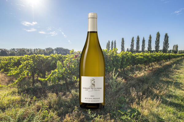 Domaine de la Pierre des Dames Mâcon-Prissé - Chardonnay