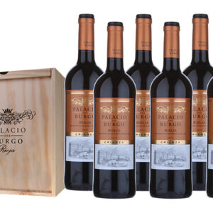 Rioja Crianza Palacio del Burgo - Rioja Spanje (6fl)