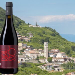 Colli Morenici Valpolicella DOC Ripasso 2018