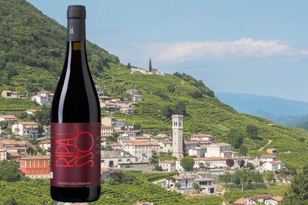 Colli Morenici Valpolicella DOC Ripasso 2018