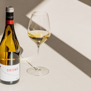 Circense Verdejo DO