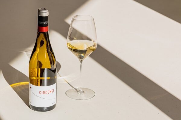 Circense Verdejo DO
