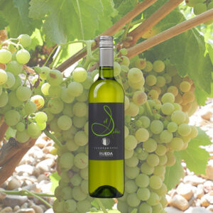 El Sabio Verdejo