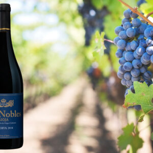Los Nobles DOCa Rioja Reserva - 2018