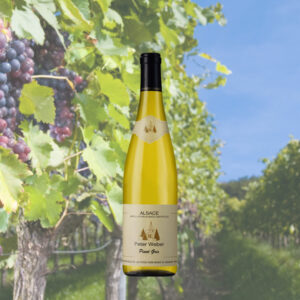 Peter Weber Pinot Gris