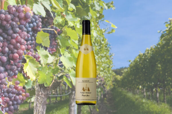 Peter Weber Pinot Gris