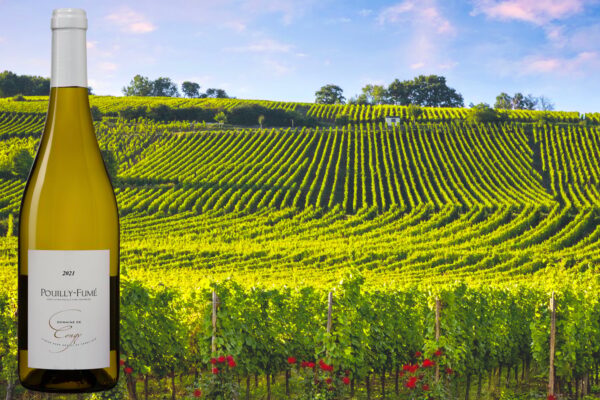 Domaine de Congy Pouilly-Fumé