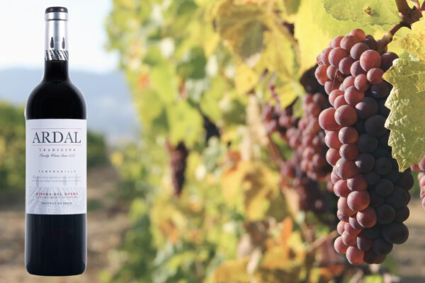 Ardal Tradicion DO Ribera del Duero Roble 21