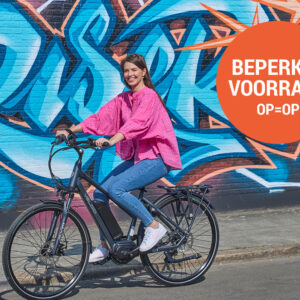 Elektrische fiets Veloci - Hybrid 2.0