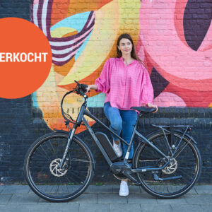Elektrische fiets Veloci - Hybrid