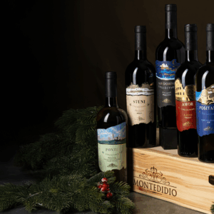 Montedidio Collection