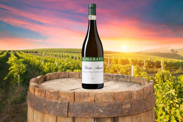 Sangrato Roero Arneis DOCG - Piemonte Italie