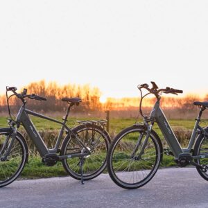 Elektrische fiets Veloci - Vivid