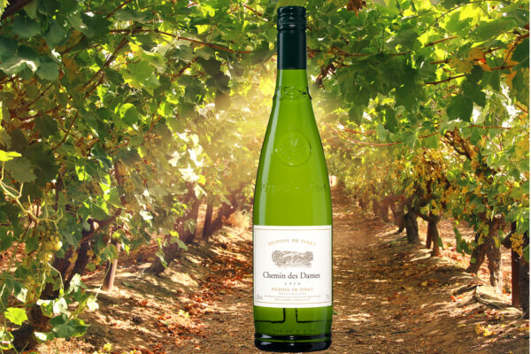 Chemin des Dames Picpoul de Pinet AOP - Pays d'Oc Frankrijk