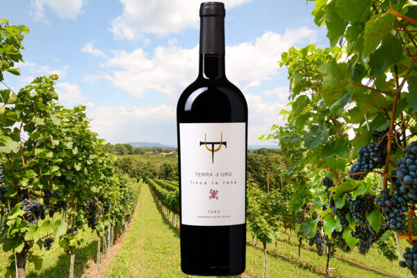 Terra D'Uro, Finca La Rana - Toro Spanje