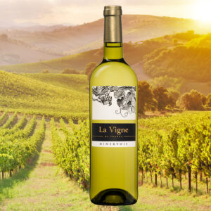 La Vigne de France Minervois AOC Blanc - Frankrijk
