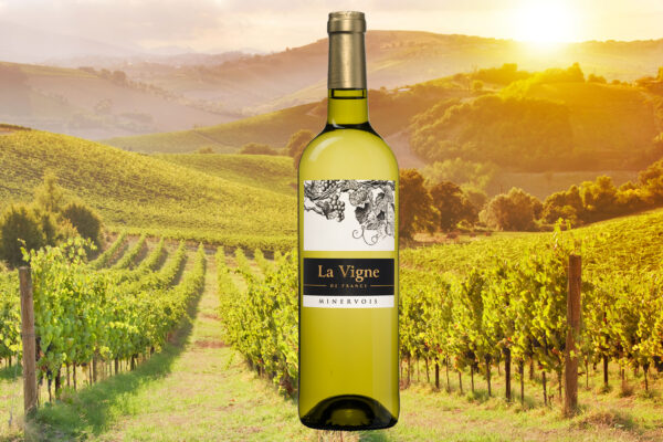 La Vigne de France Minervois AOC Blanc - Frankrijk
