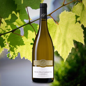 Château des Bois Mâcon Milly-Lamartine AOP Blanc