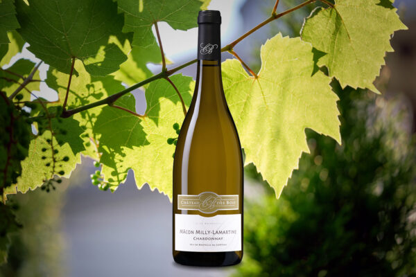 Château des Bois Mâcon Milly-Lamartine AOP Blanc
