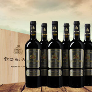 Pago del Vostal Vendimia Seleccion - Ribera del Duero Crianza Spanje