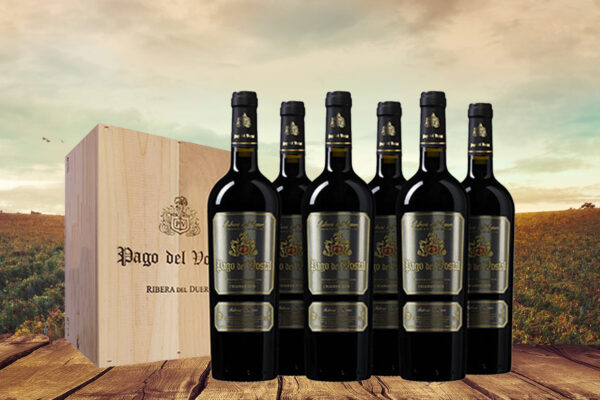 Pago del Vostal Vendimia Seleccion - Ribera del Duero Crianza Spanje