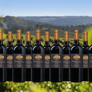 Excellence de La Jasse Réserve Privée 2020 - 12 flessen