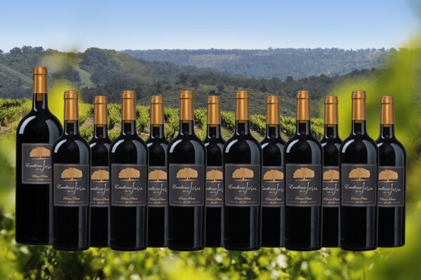 Excellence de La Jasse Réserve Privée 2020 - 12 flessen