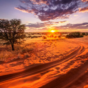 Namibië, ‘slow travel’ door het land van verbluffende contrasten