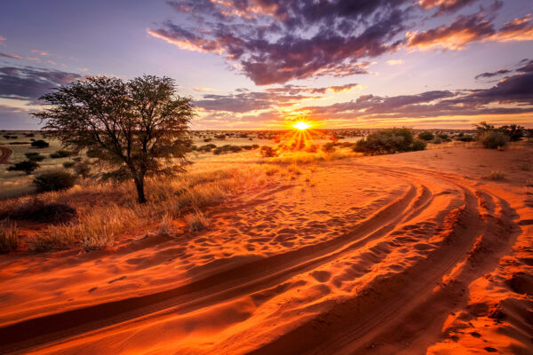 Namibië, ‘slow travel’ door het land van verbluffende contrasten